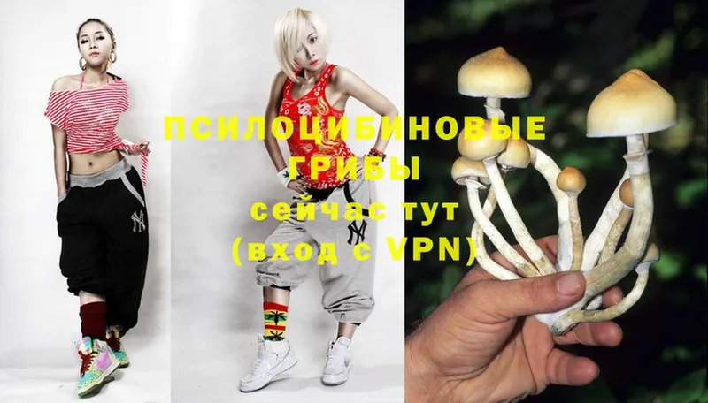 Галлюциногенные грибы Magic Shrooms  Сорск 